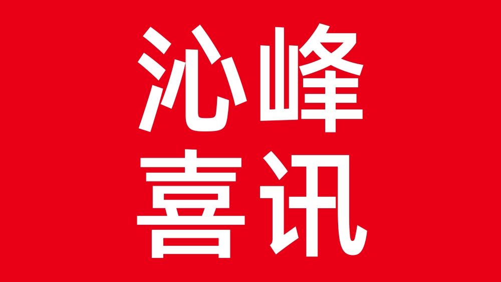 冲压自动化标杆！沁峰机器人入选湖南省2025年度先进级智能工厂
