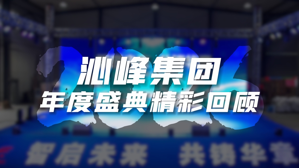沁峰集团2026年度盛典精彩回顾